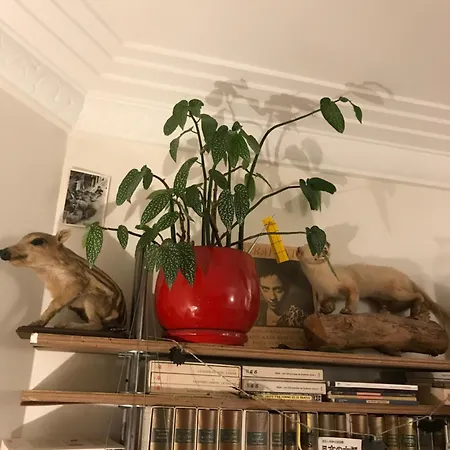 Apartment Le Nid D'aigle Paris